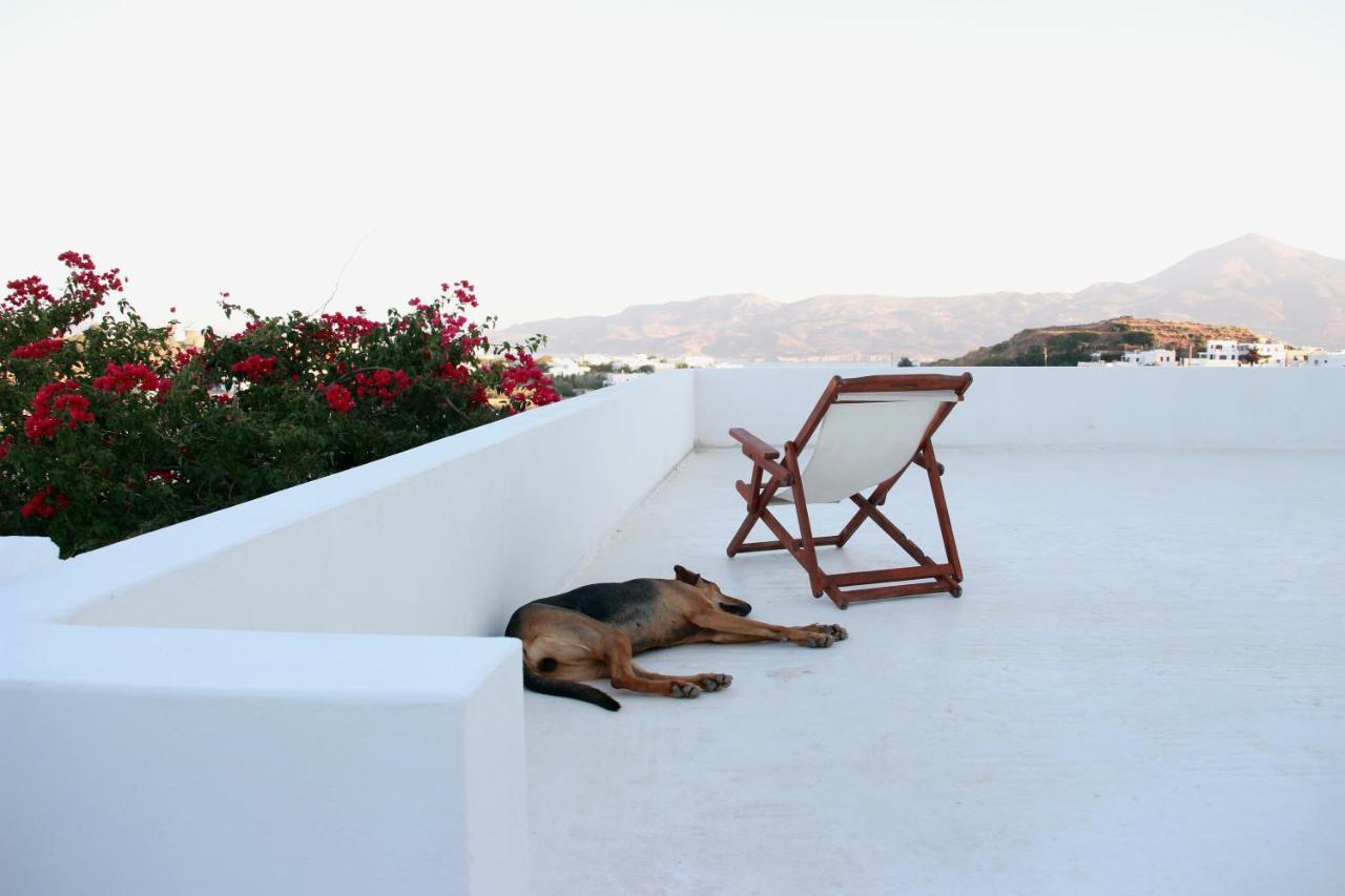 Hotel Prickly Pear House Plaka  Exterior foto