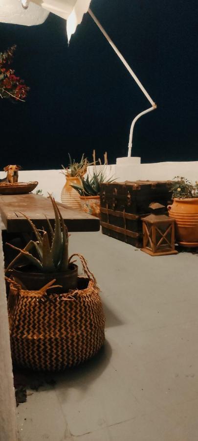 Hotel Prickly Pear House Plaka  Exterior foto